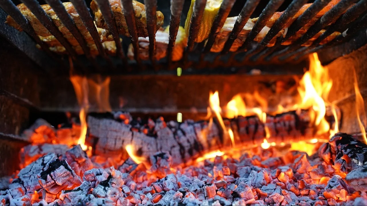 carbón, fuego, asado, parrilla
